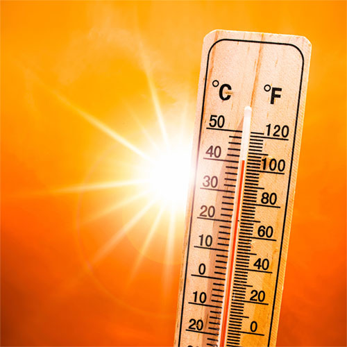 Plan Canicule